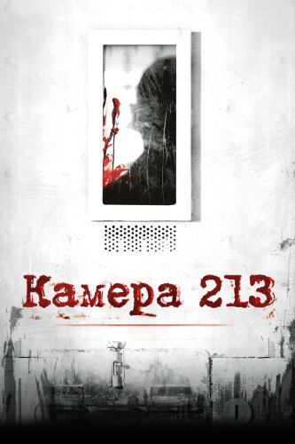  Камера 213 