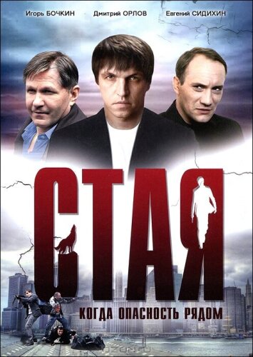  Стая 