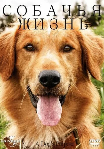Собачья жизнь